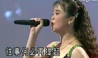 十二朵莲花闽南语 十二大美女闽南歌曲