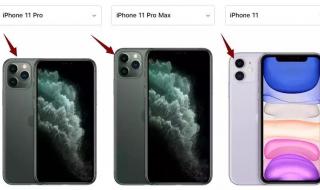 iphone11三款对比 iPhone11尺寸