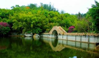 钟鼓索道和万石植物园是一起的吗 万石植物园好玩吗