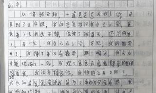 小学生四年级作文动物也是我的老师三百五十字