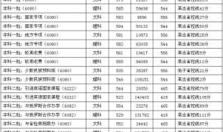 河南高考462分能上什么大学 河南财经大学分数线