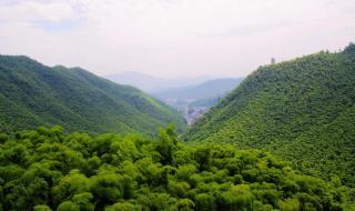 安吉十大景点排行榜